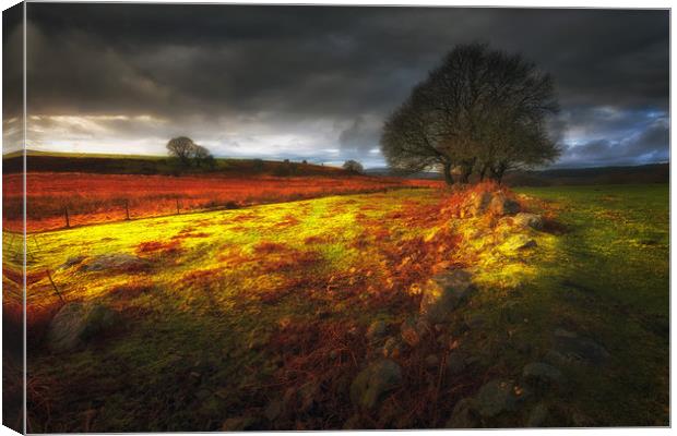 Approaching storm over Brecon, South Wales UK Canvas Print by Leighton Collins
