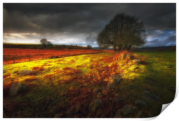 Approaching storm over Brecon, South Wales UK Print by Leighton Collins