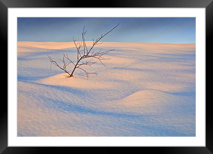 In The Bleak Mid-Winter Framed Mounted Print by David Lewins (LRPS)