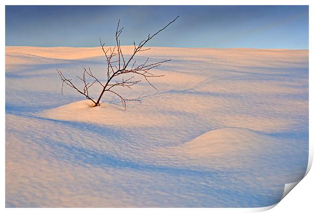 In The Bleak Mid-Winter Print by David Lewins (LRPS)