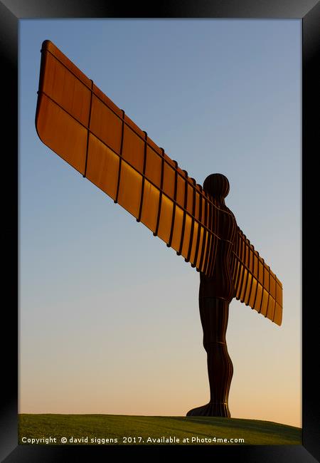 Angel of the North Framed Print by david siggens