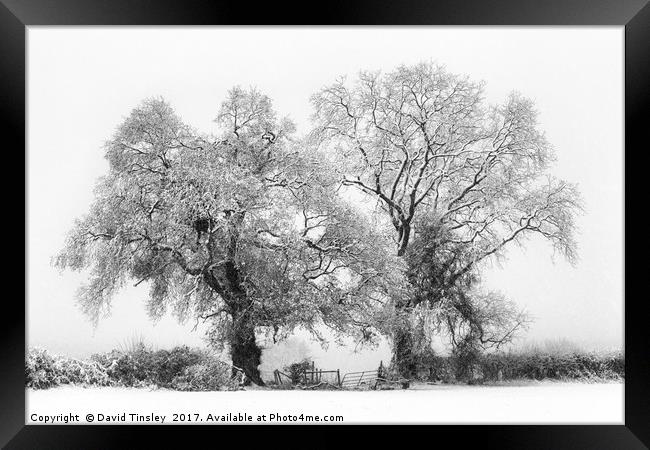 Snowbound 1 Framed Print by David Tinsley