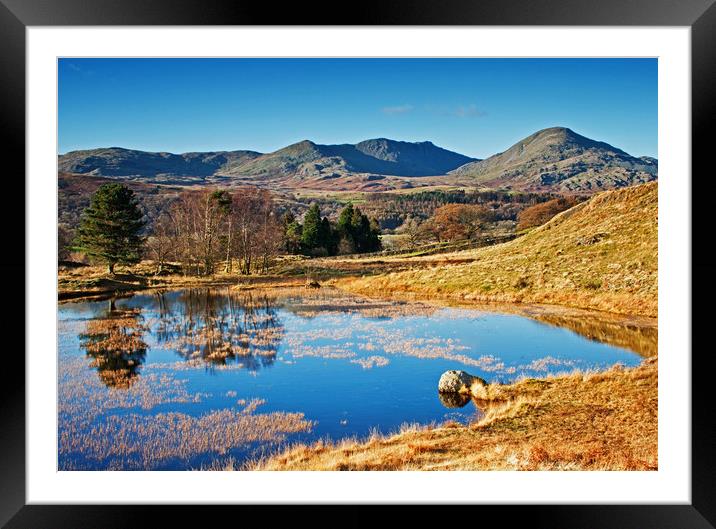 The restful tarn Framed Mounted Print by David McCulloch