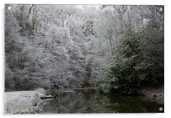 Winter Snow Scene Acrylic by Brian Roscorla