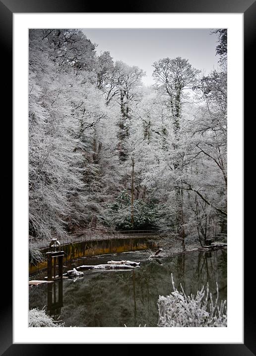 Winter Snow Scene Framed Mounted Print by Brian Roscorla