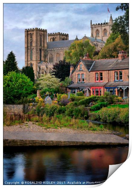 "River Ure and Ripon Cathedral" Print by ROS RIDLEY