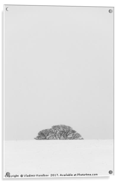 Simplicity of winter landscapes Acrylic by Vladimir Korolkov