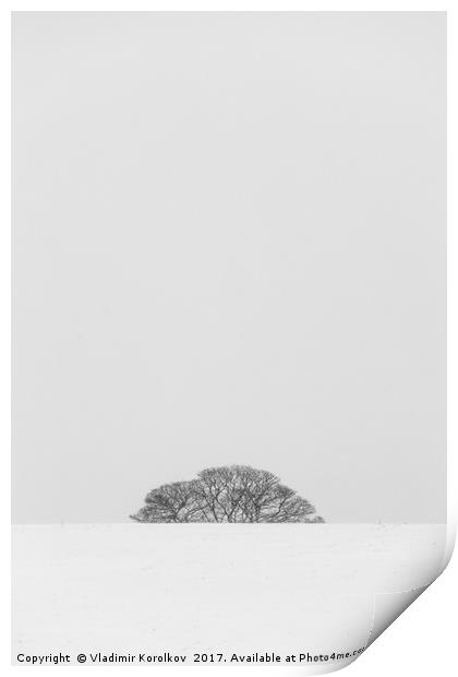 Simplicity of winter landscapes Print by Vladimir Korolkov