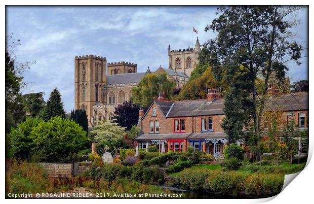 "Ripon Cathedral" Print by ROS RIDLEY