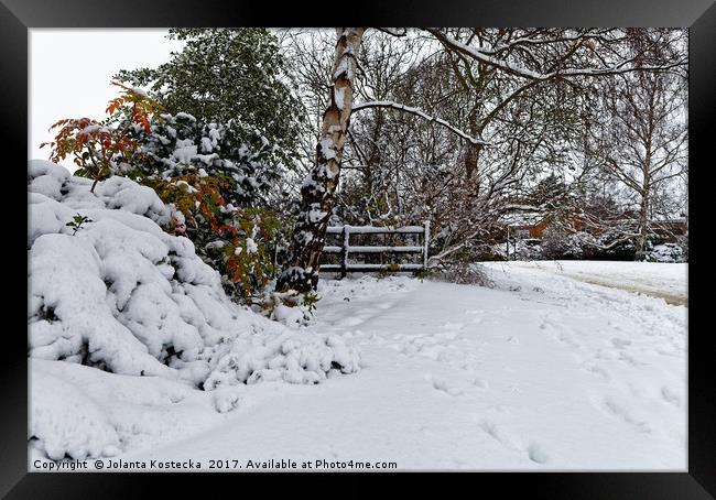 Winter wonderland Framed Print by Jolanta Kostecka