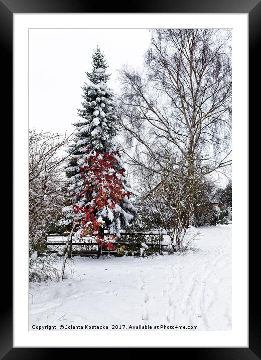 Winter wonderland Framed Mounted Print by Jolanta Kostecka