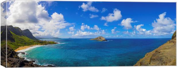 View from Makapu'u  Canvas Print by Kelly Bailey