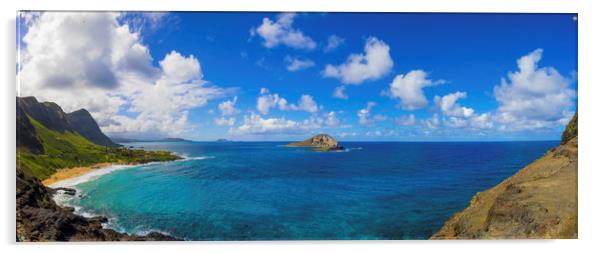 View from Makapu'u  Acrylic by Kelly Bailey