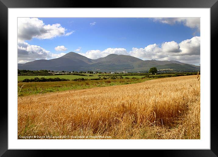 Golden Mountains of Mourne Framed Mounted Print by David McFarland