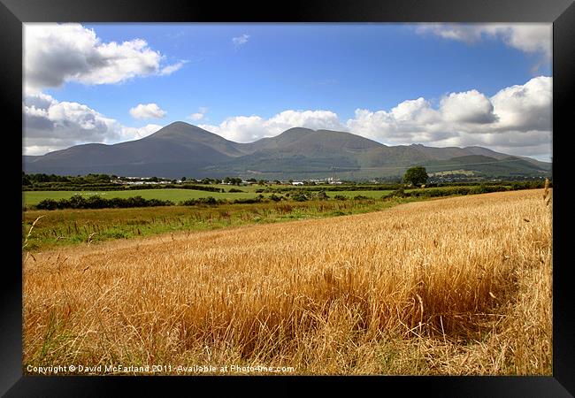 Golden Mountains of Mourne Framed Print by David McFarland