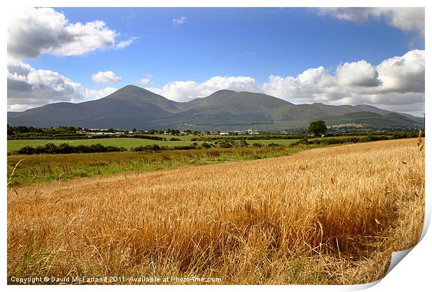 Golden Mountains of Mourne Print by David McFarland