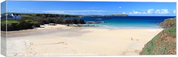 Trevone Bay in Cornwall Panoramic Canvas Print by Carl Whitfield