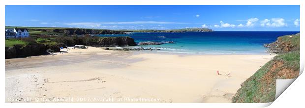 Trevone Bay in Cornwall Panoramic Print by Carl Whitfield