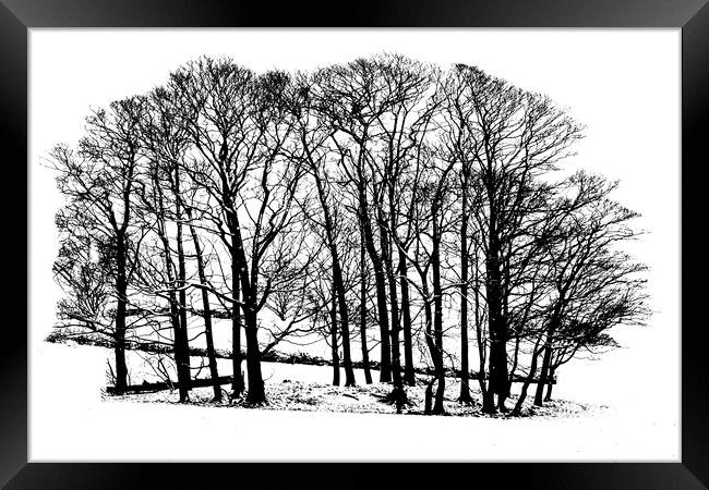 Winter trees in snow - black and white Framed Print by Chris Warham