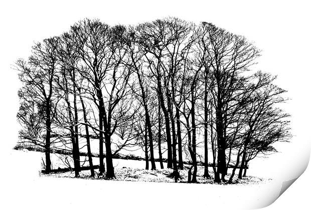 Winter trees in snow - black and white Print by Chris Warham