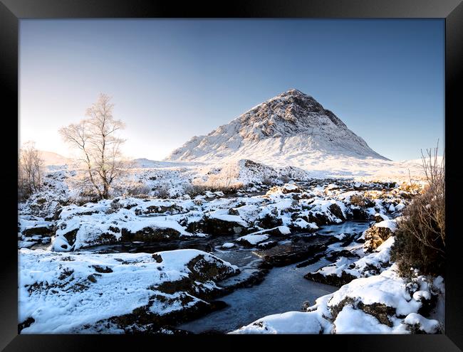 Buachaille in the snow Framed Print by Sam Smith