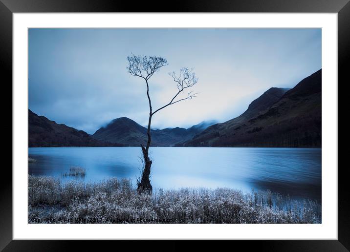 Buttermere Tree at Dawn Framed Mounted Print by Ken Mills
