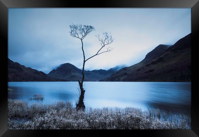 Buttermere Tree at Dawn Framed Print by Ken Mills