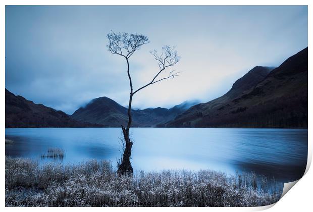 Buttermere Tree at Dawn Print by Ken Mills