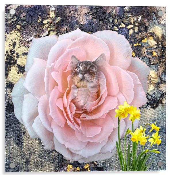 Kitten Acrylic by Henry Horton