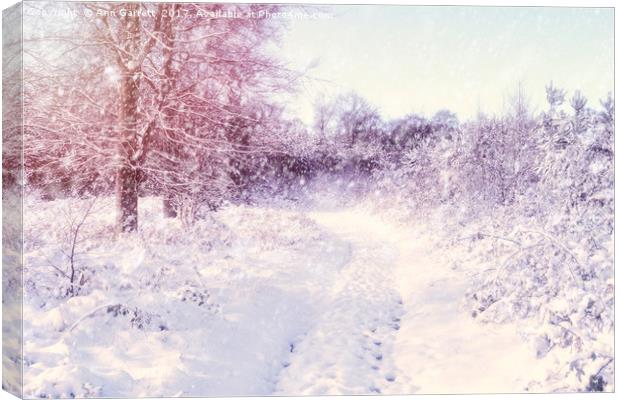 Winter Magic Canvas Print by Ann Garrett