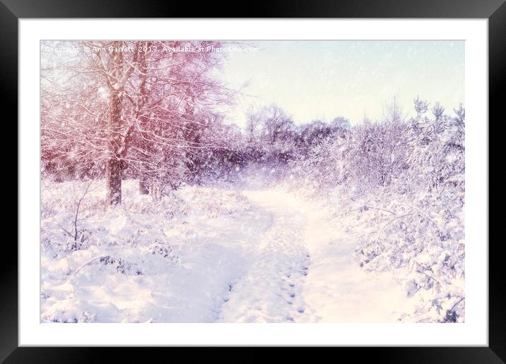 Winter Magic Framed Mounted Print by Ann Garrett