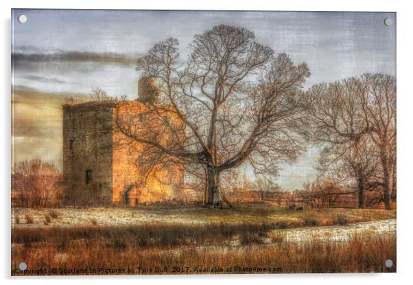 Barr's Castle Lochwinnoch Acrylic by Tylie Duff Photo Art