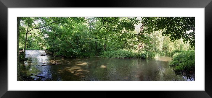 Cassiobury Park Nature Reserve, Watford Framed Mounted Print by graham young