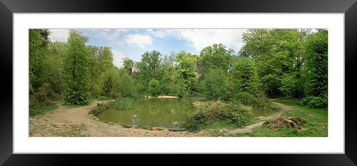 The Apostles Pond, Chipperfield Framed Mounted Print by graham young
