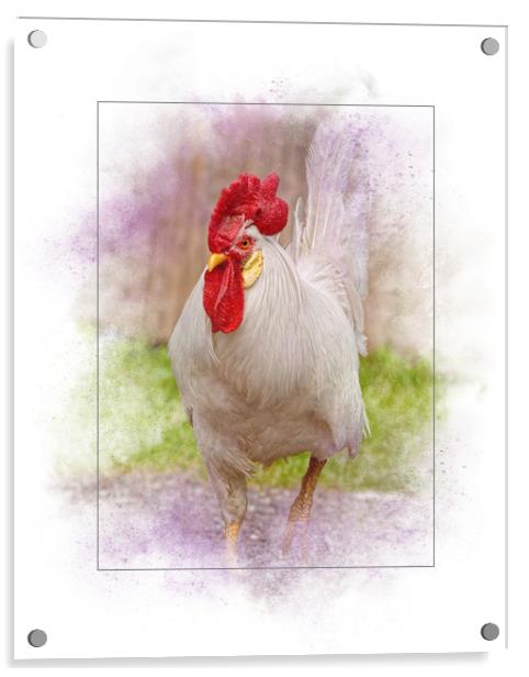 Beautiful Rooster Acrylic by Sarah Ball