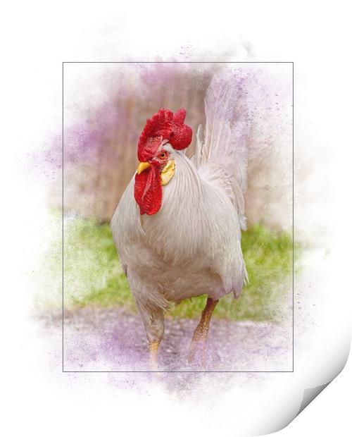 Beautiful Rooster Print by Sarah Ball