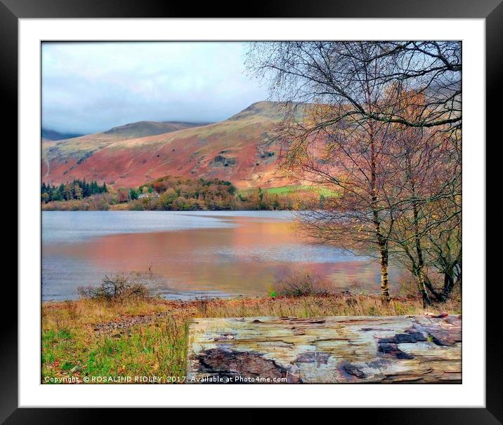 "Winding path across the lake" Framed Mounted Print by ROS RIDLEY