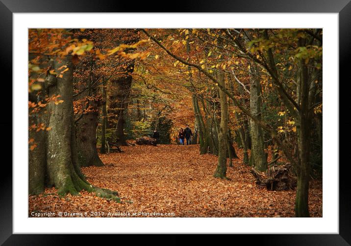 Autumn Walk Framed Mounted Print by Graeme B