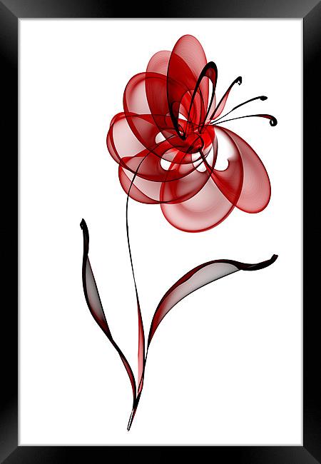 Vector Flower Framed Print by Ann Garrett