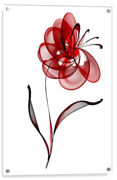 Vector Flower Acrylic by Ann Garrett