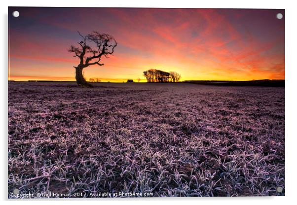 Frosty Morning Sunrise, Tythegston Acrylic by Neil Holman