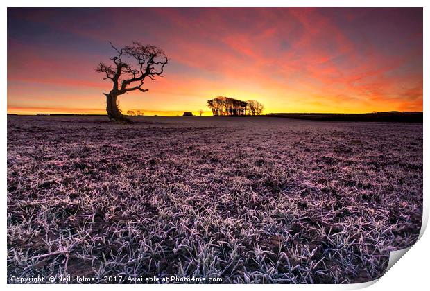 Frosty Morning Sunrise, Tythegston Print by Neil Holman