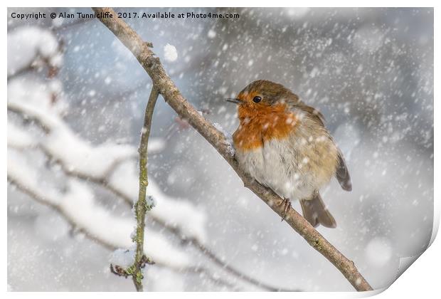Robin in the snow Print by Alan Tunnicliffe