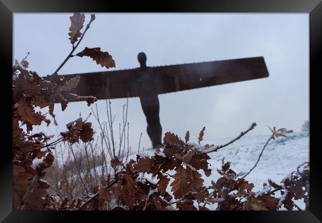 Angel of the North in the snow Framed Print by David Graham
