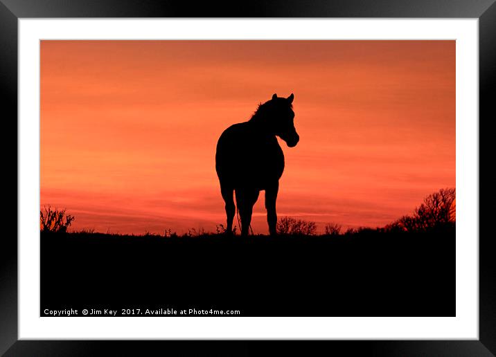 Horse at Sunset Framed Mounted Print by Jim Key