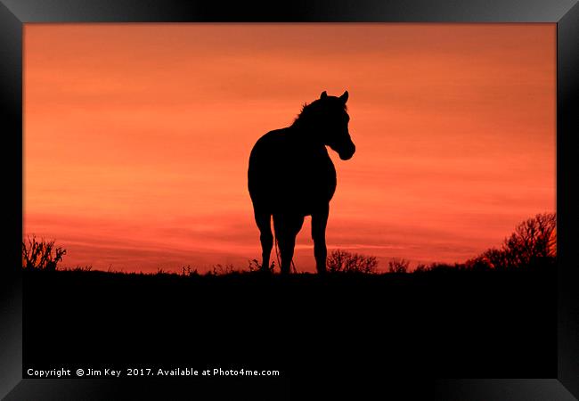 Horse at Sunset Framed Print by Jim Key