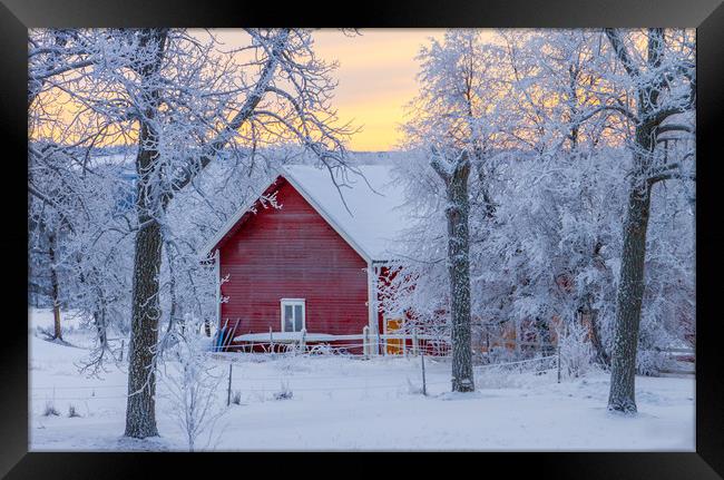 A cold winter day in Sweden Framed Print by Hamperium Photography