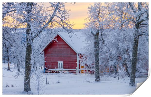 A cold winter day in Sweden Print by Hamperium Photography