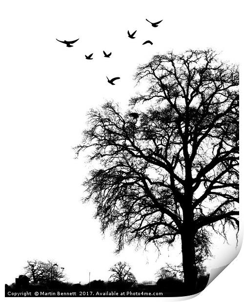 Winter Tree Silhouette Print by Martin Bennett