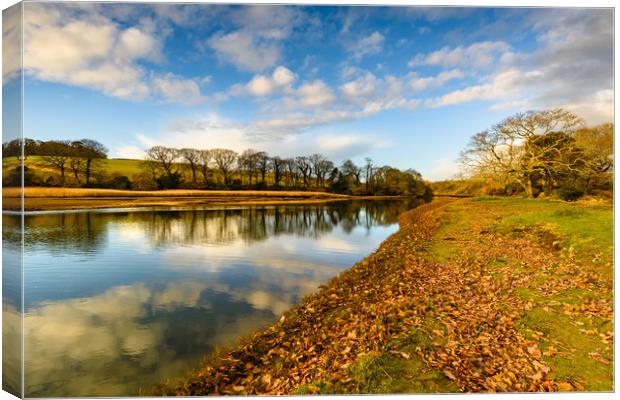 Reflections Canvas Print by Michael Brookes